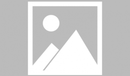 樱麻豆,青春校园的璀璨星辉